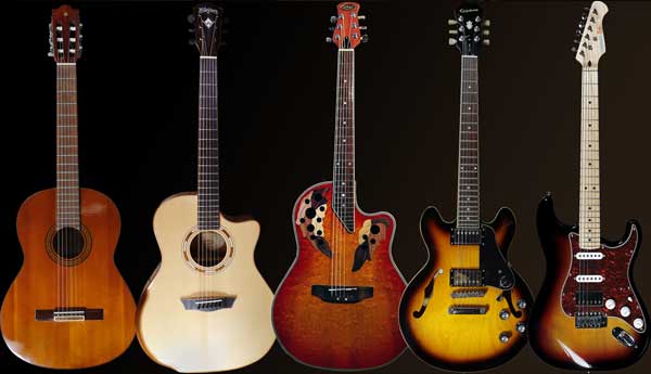 electic guitars, semi acoustic guitars and acoustic guitars