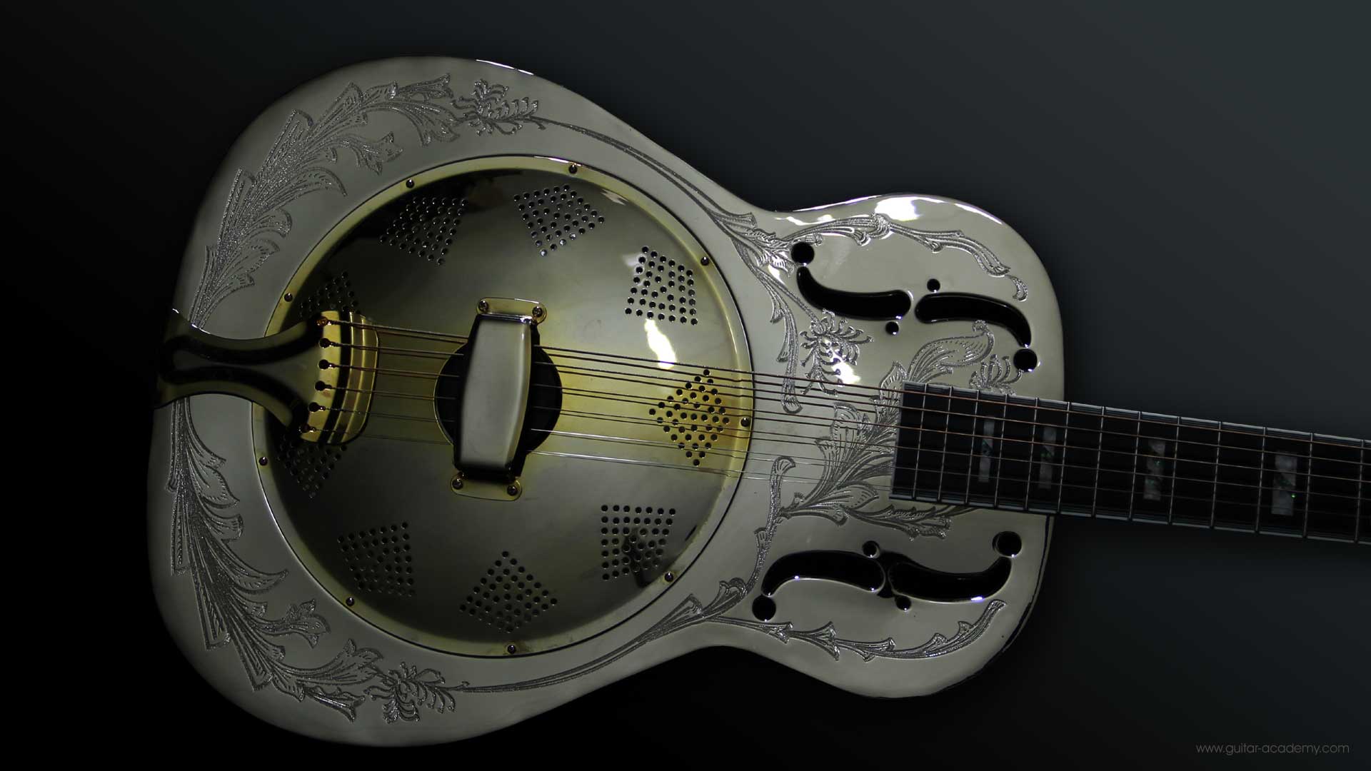 Ozark resonator guitar